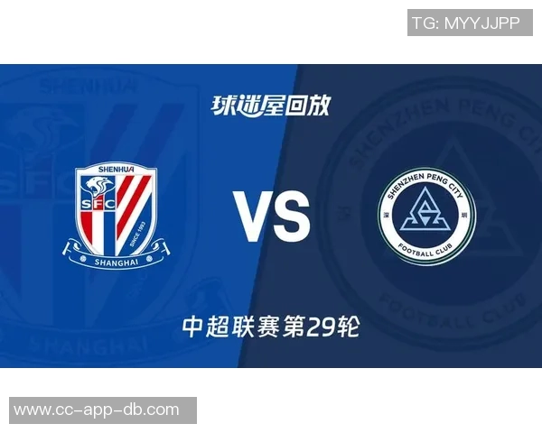 上海申花在中超第29轮以1-0小胜深圳新鹏城成功夺得重要三分